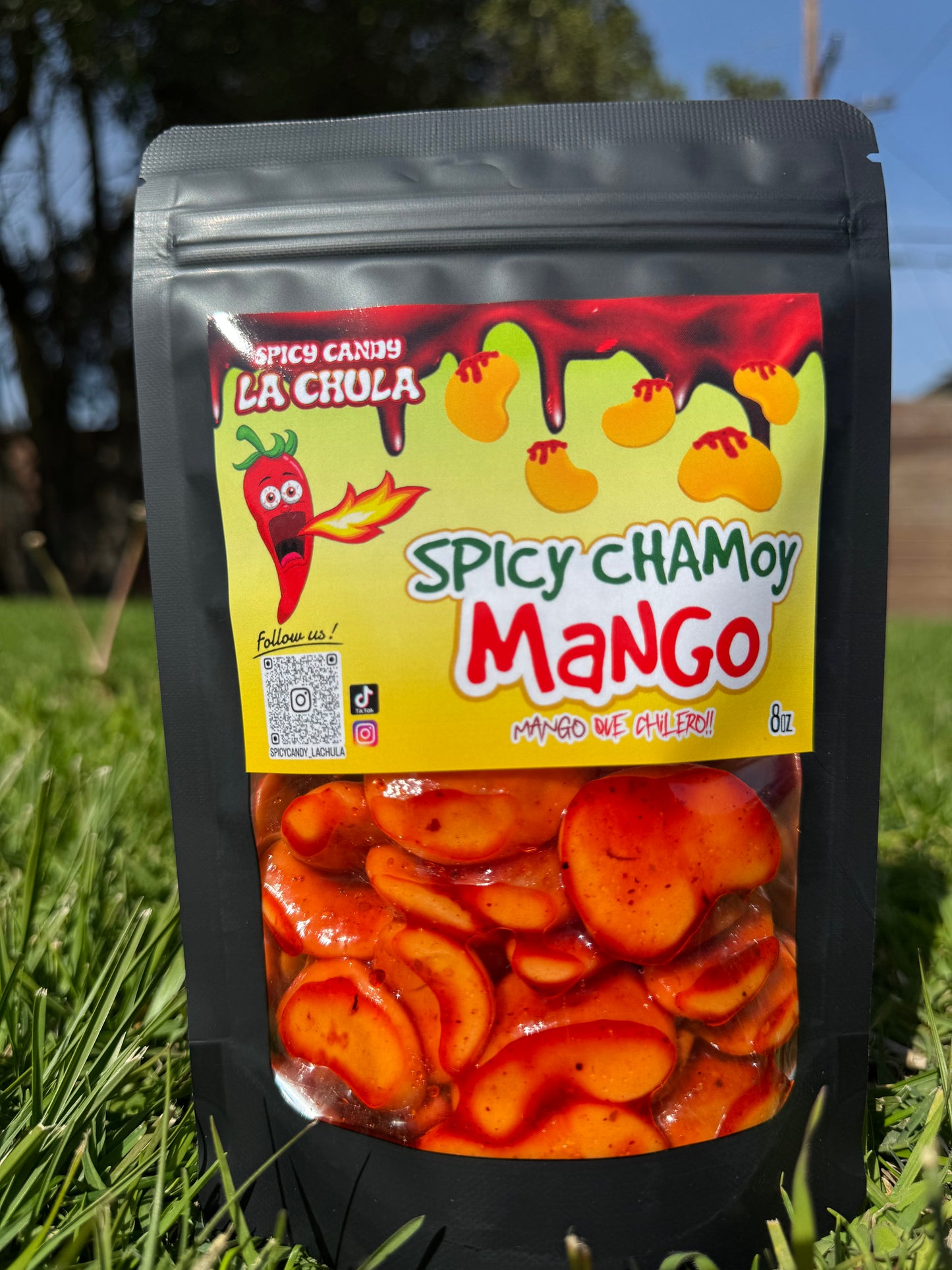Spicy Chamoy Manguito - Mango Que Chilero!!