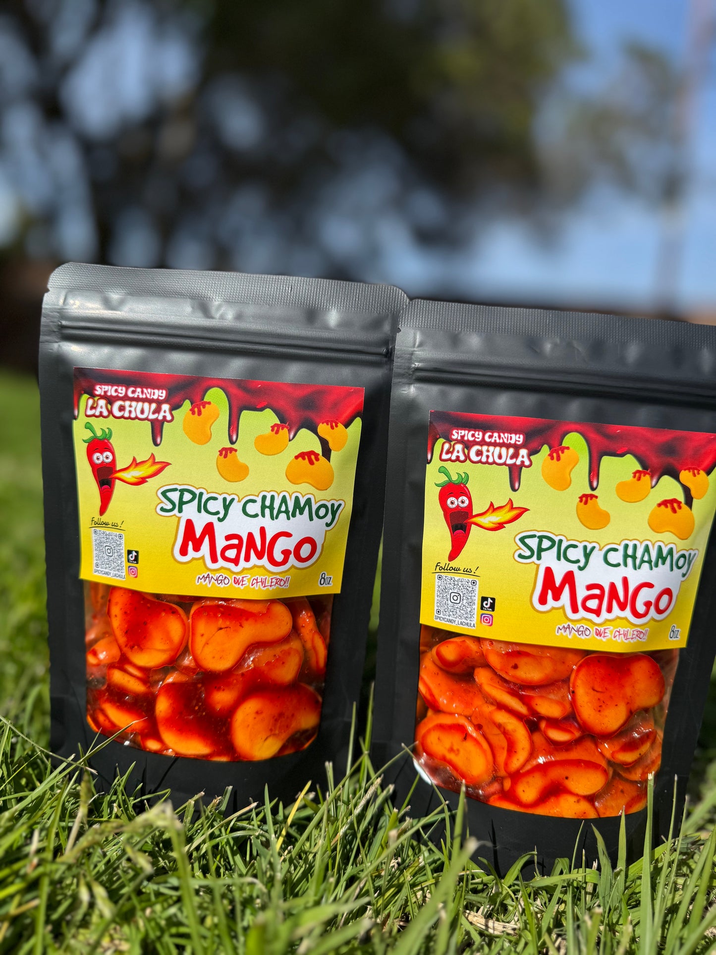 Spicy Chamoy Manguito - Mango Que Chilero!!