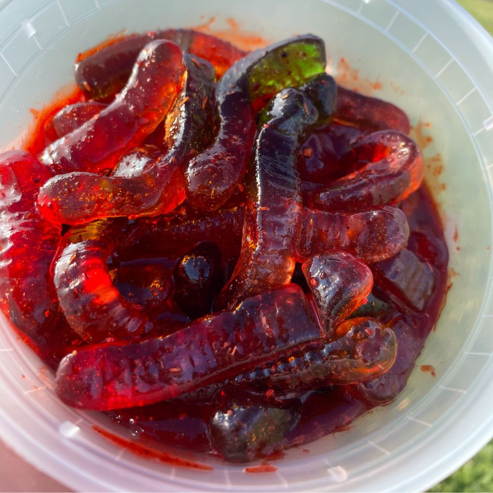 Chamoy Worms - Culebras chispudos